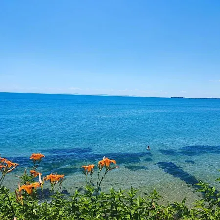 Apartament Marina View-bastetbs *